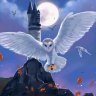 Hedwig The owl